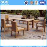 Outdoor Garden Furniture Wicker Dinnig Set Long Table and Chairs (GS29)