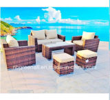 New Design Modern Patio Rattan/Wicker Leisure Outdoor Garden Sofa Furniture
