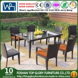 Dining Set for Outdoor with Aluminum / SGS (TG-348)