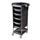 5 Drawer Beauty Stylist Hair Coloring Trolley Rolling Cart Salon Edge
