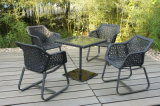 New Design European Hotel Rattan Patio Outdoor Furniture (FS-2200+ FS-2201)