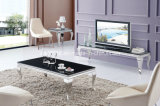 Modern Living Room Set / Glass Top Stainless Steel Rectangle Coffee Table