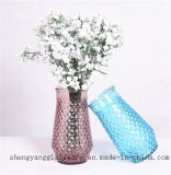 Factory Direct Supply Glass Vase/Colourful Vase/Home Decoration