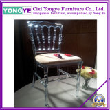 Clear Resin Napoleon Chair with Cushion