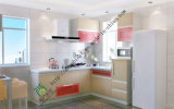 Multi Function Lacquer Kitchen Cabinets (zs-208)