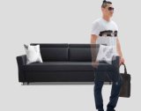 Elegant Modern Functional Sofa Bed (B036)