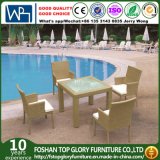 PE Rattan Wicker Dining Set/Hand-Woven Garden Furniture/Outdoor Furniture (TG-JW72)