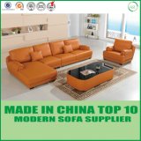 Modern Italian New Product Leather Sofa