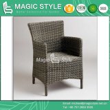 Dining Chair Rattan Chair Wicker Chair Outdoor Furniture Garden Furniture Patio Furniture Cafe Chair Hotel Project (Magic Style)