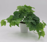 Office Decoration Real Touch Artificial Plant Maply IVY Bonsai