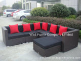 6-Piece Wicker Sectional Sofa Set / Rattan Wicker Furniture/Outdoor Garden Furniture
