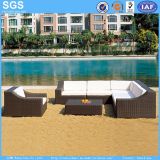 Outdoor Garden Hotel Sofa Wicker Furniture Ln-002