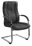 Hot Selling Visitor Chair (80028)