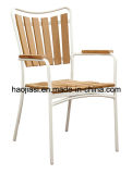 Outdoor / Garden / Patio/ Rattan/ Polywood Chair HS3259c