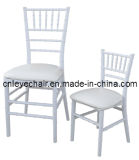 Event Outdoor Resin Chair