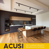 Australia Style Customized Matt Lacquer Kitchen Cabinets (ACS2-L167)