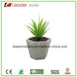 Mini Artificial Succulent Indoor Fake Green Potted Plant with Cement Pot for Home & Office Decoration