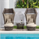 New Design Outdoor Garden Furniture Synthetic Rattan Lover Chair with Ottoman&Coffee Table (YT1053)