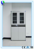 New Arrived Steel Medical Lab Storage Cabinet (HL-GG012)