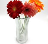Hot Sell Flower Glass Vase for Home Decor