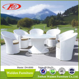 Nice Design White Garden Dining Set (DH-6060)