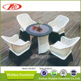 Outdoor Furniture, Outdoor Chair, Rattan Furniture (DH-6071)