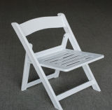 Supply Plastic Folding Chairs Beach Chair