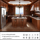 Home Decor Wood Kitchen Cabinets (ZH-7801)