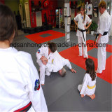 Tatami Aikido Floor Mat Interlocking Exercise Judo Mat