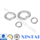 Countersunk External Toothed Serrated Lock Washer Spring Steel