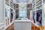 Walk in Closet with Open Shoe Shelves (BY-W-81)
