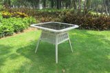 Garden Furniture Outdoor Rattan Dining Table (WS-15584)