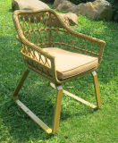 Supply New Aluminum Garden Rattan Dining Chair (WS-15596)