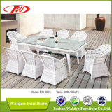 Outdoor Furniture Dining Table and Chair (DH-6065)