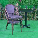 Aluminum Polywood Hotel Home Office Outdoor Patio Textilene Dining Chair (JT7361+J8406)
