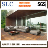 Rattan Garden Furniture/Outdoor Sofa Bed/Attractive Sofa (SC-B8915)