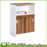 2016 New Design of Cabinet File Cabinet File Storage (CF-S81603)