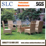 Garden Table Set/Garden Chair and Table/Rattan Chair (SC-B1012)
