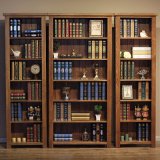 Wooden Book Shelf Solid Wood Wood Bedroom Bookcase (GSP9-033)
