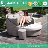 Daybed Rattan Daybed Wicker Daybed Morden Daybed Sun Bed Deck Sofa 2-Seater Sofa Bench Sofa Leisure Daybed (Magic Style)