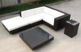 Outdoor Furniture Black Rattan Sofa with Cushion