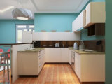 North American Standard Modern Kitchen Cabinets with Color