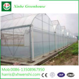 Key-Turn Greenhouse Project