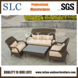 Lounge Sofa/ Outdoor Sofa / Garden Furniture (SC-1725)