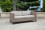 Modern Wicker/Rattan Sofa for Outdoor Furniture (LN-2002)