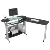 Home Personal Computer Desk with Double Table