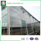 Multi Span Agriculture Glass Vegetable Green House