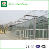 Cheap Multi Span Agricultureal Glass Greenhouse