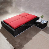 High Quality Top Using Project Outdoor Garden Idea Furniture Double Sunlounge (YT167-1)