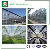 Multi Span Vegetables/Garden/Flowers/Farm Glass Greenhouse with Hydroponics System